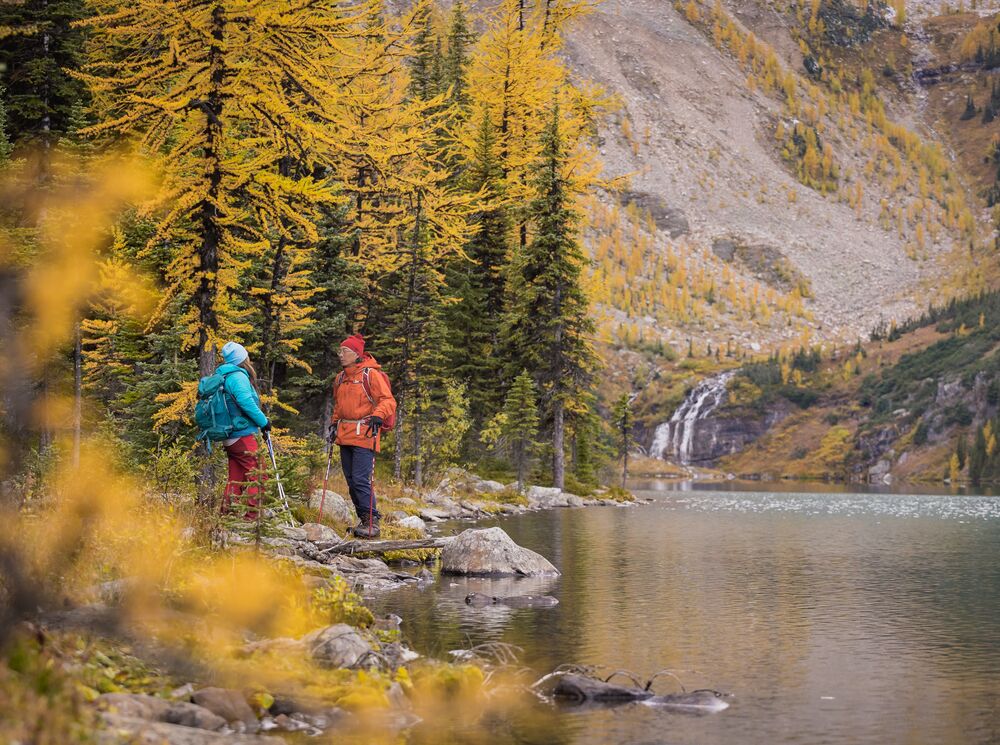 Two people stand on the edge of Taylor Lake in Banff National Park during larch season.